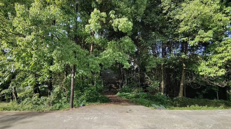 玩土有溪丨中国雅安丨尚水希木乡村振兴工作室-11