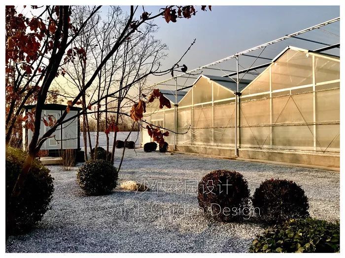 高技术与高颜值的京东"未来“植物工厂-8