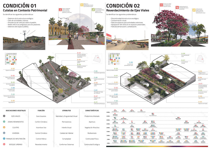 Barranquilla 城市复兴与绿化竞赛丨哥伦比亚丨SCINCO Arquitectas y Arquitectos-10