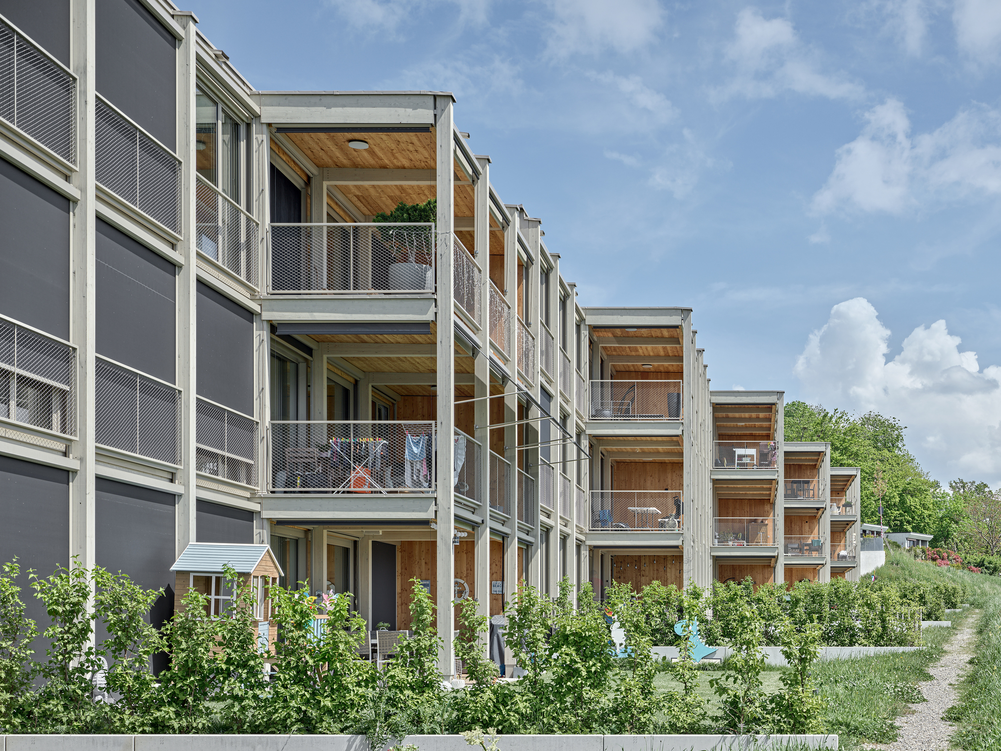 Spillmatte 住宅大楼丨瑞士丨dolmus Architekten-9