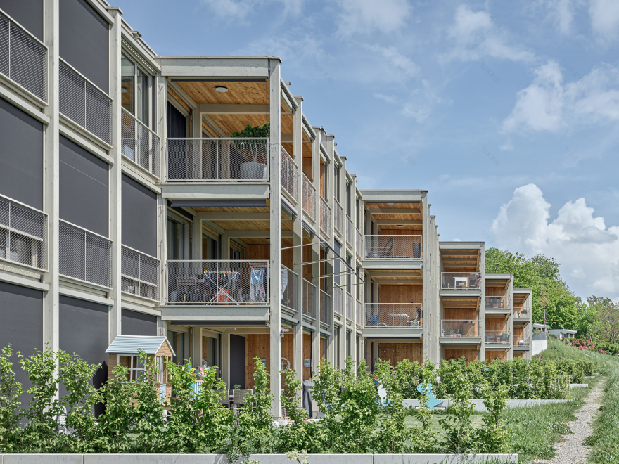 Spillmatte 住宅大楼丨瑞士丨dolmus Architekten-9