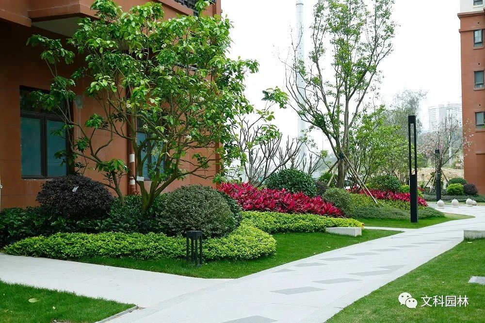 南宁大唐印象低密社区园林景观设计丨中国南宁丨文科园林-15