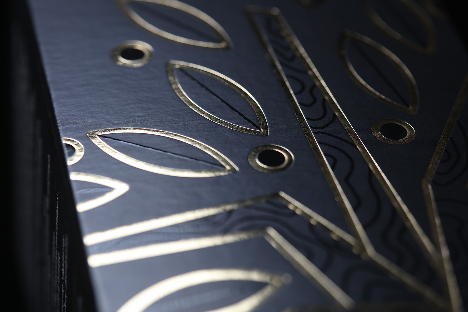 岩石山谷的橄榄传奇-20