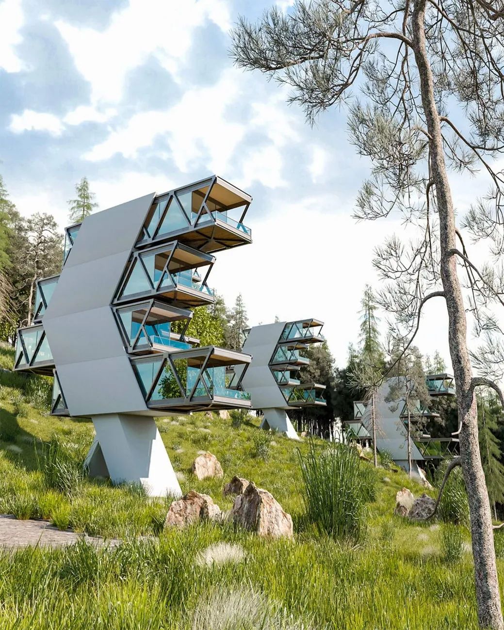 森林中的飞行别墅丨Sajad Motamedi-0