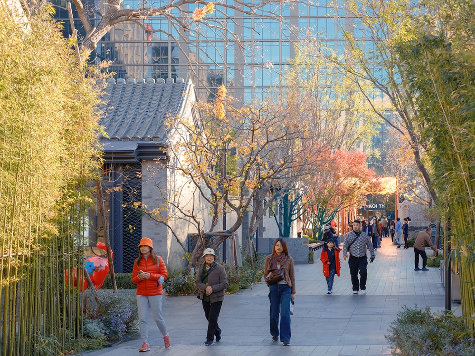 北京中海大吉巷丨中国北京丨艾奕康,景立方,北京市建筑院,Lead8,清华同衡-25