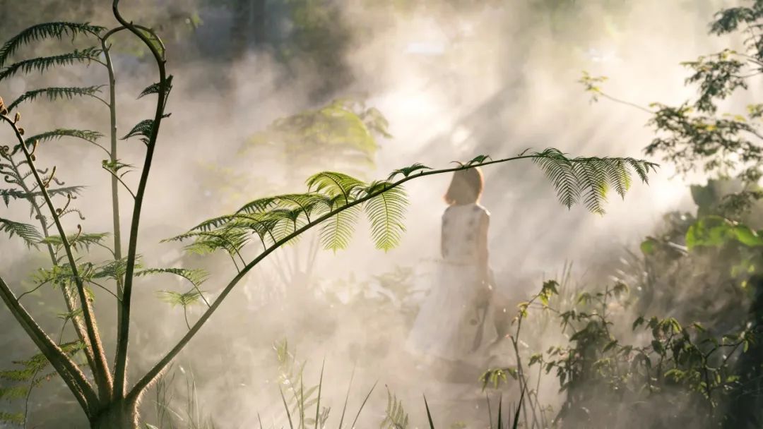 海口江东麓岛阅海新作样板区丨中国海口丨成都市易境园艺有限责任公司,DEAL德珈设计等-72