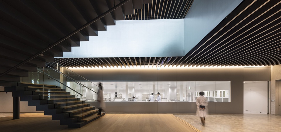 全药工业株式会社研究开发中心丨日本东京丨日建设计-29