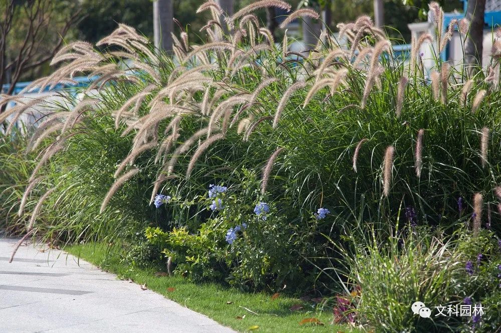 深圳福田花漾街区及街心花园 | 创新景观设计,重构城市空间-43