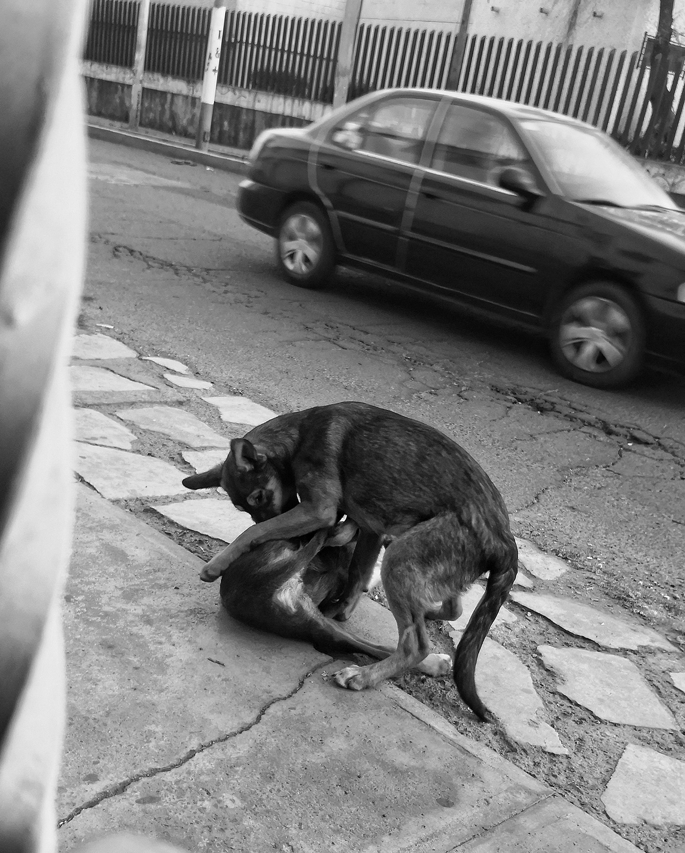 Street photography in San Lorenzo-3
