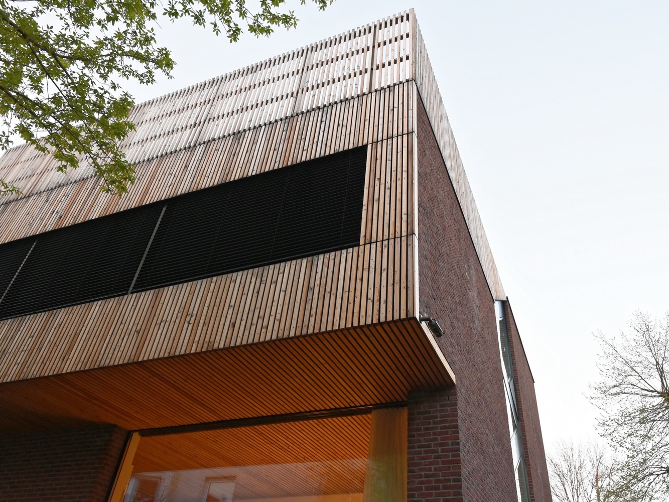 罗马尼亚四口之家垂直住宅，自然材料与光影共舞-58