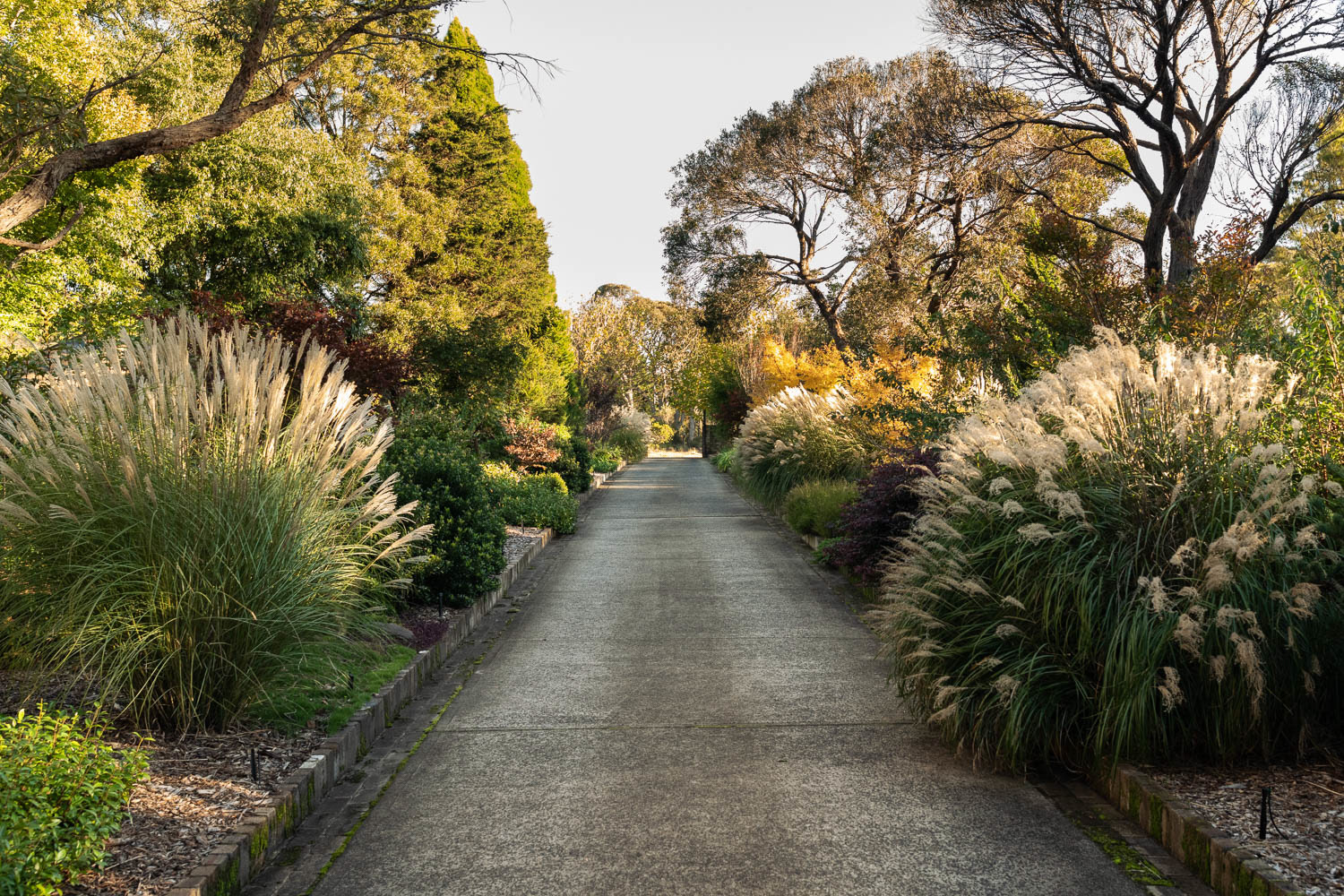 蓝山当代景观设计-23
