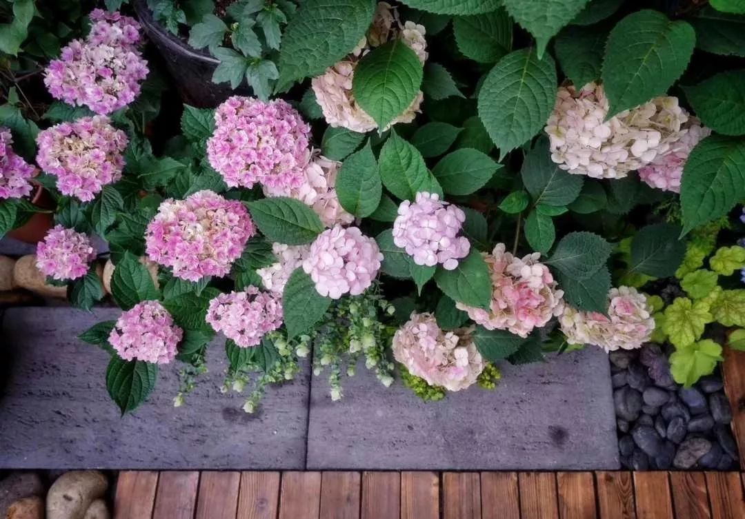 23 平露台变山野花园，浙江苑筑景观打造完美露台生活-60