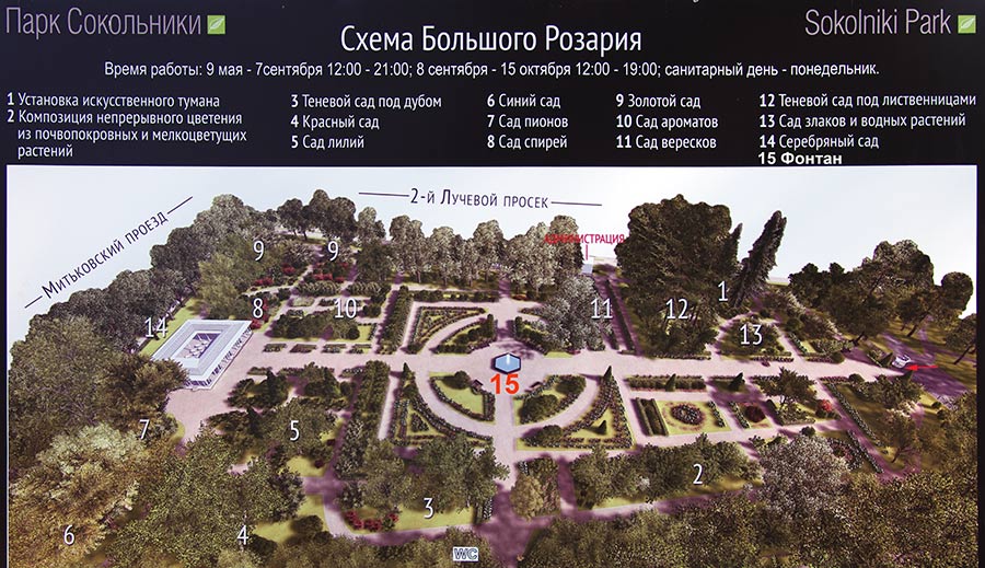 莫斯科索科尔尼基公园大玫瑰园喷泉修复丨俄罗斯莫斯科-30