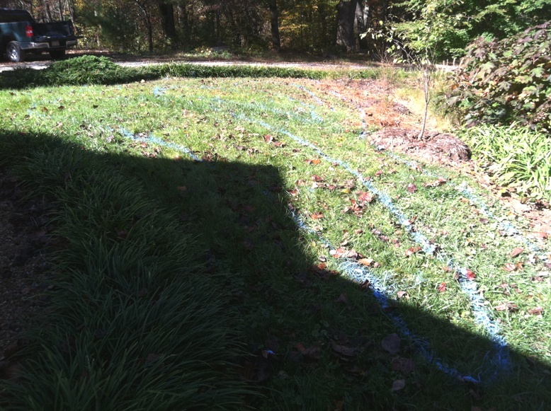 阳光花园打造项目丨Muddy Boots Inc-3