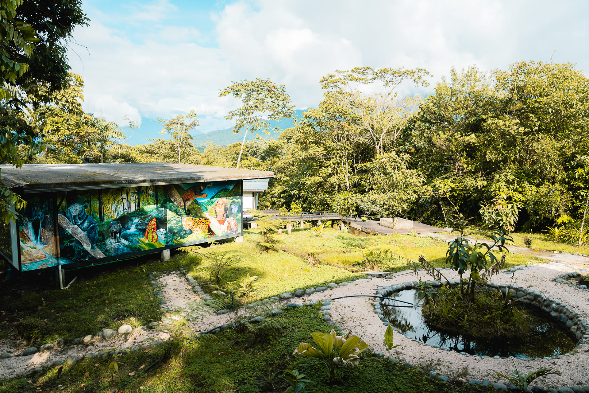 Cedro Amazon Lodge-13