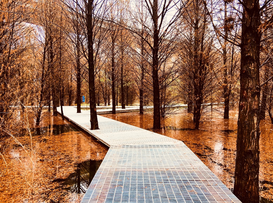 芜湖江东水生态海绵公园丨中国芜湖丨上海市政总院-21