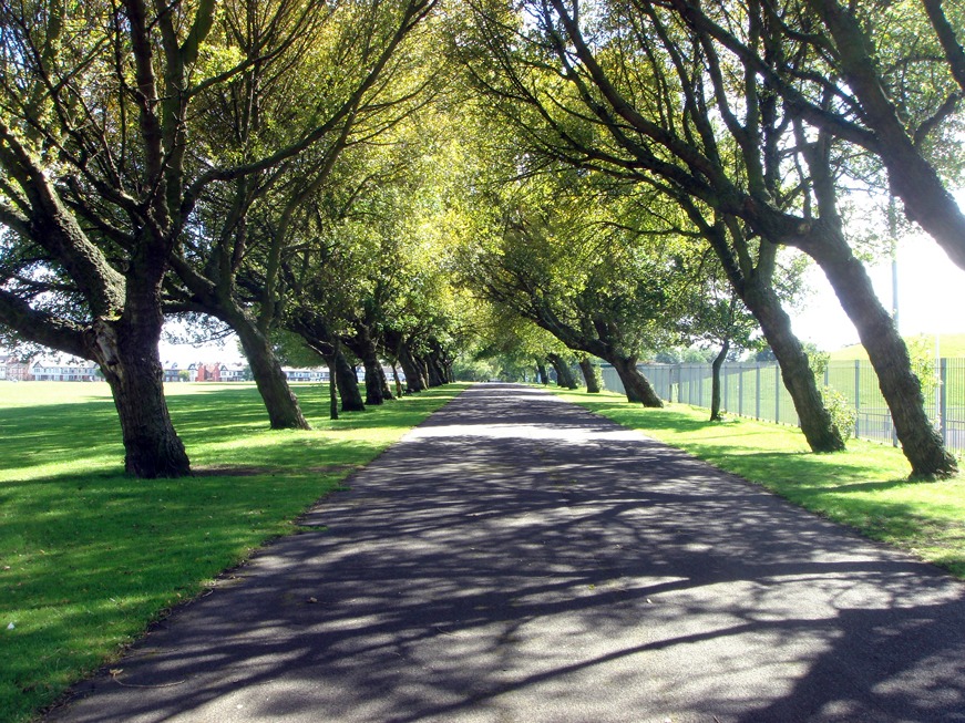 利物浦公园项目丨英国利物浦-12