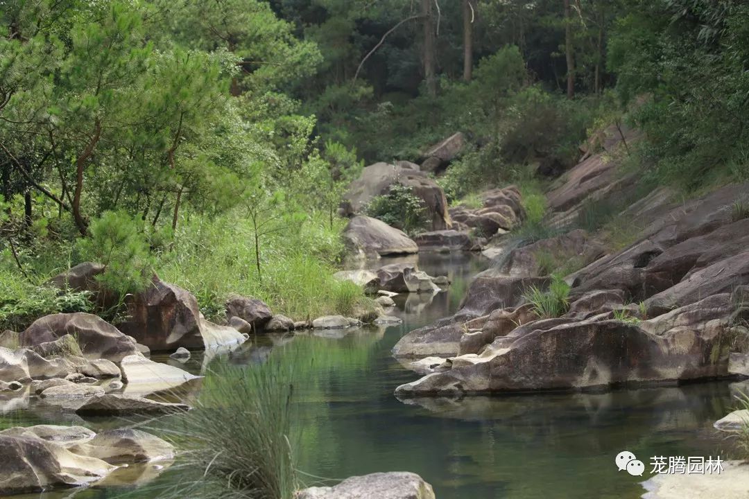 天湖寻踪 | 自然生态的探索与记录-57