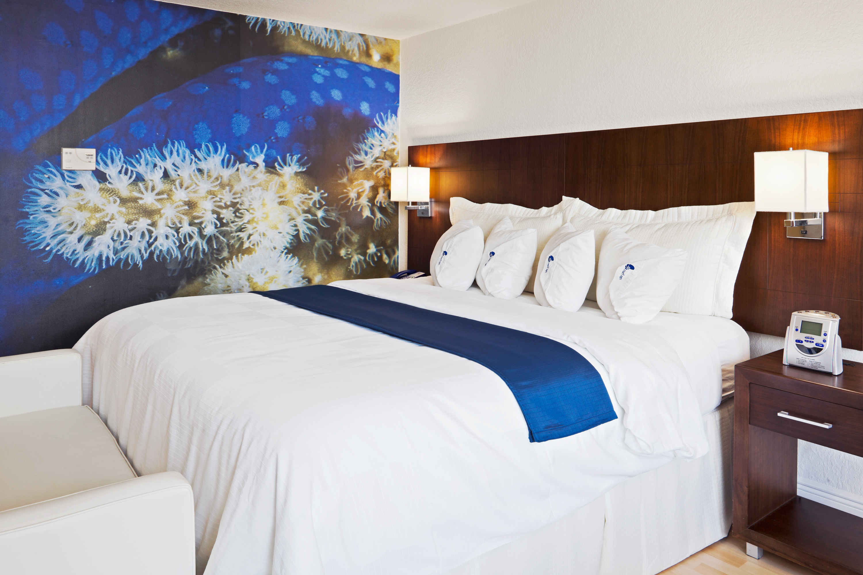 HOTEL INDIGO MIAMI DADELAND-46