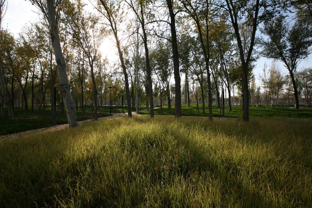 新疆博乐人民公园改造设计(C,D,F地块)-5