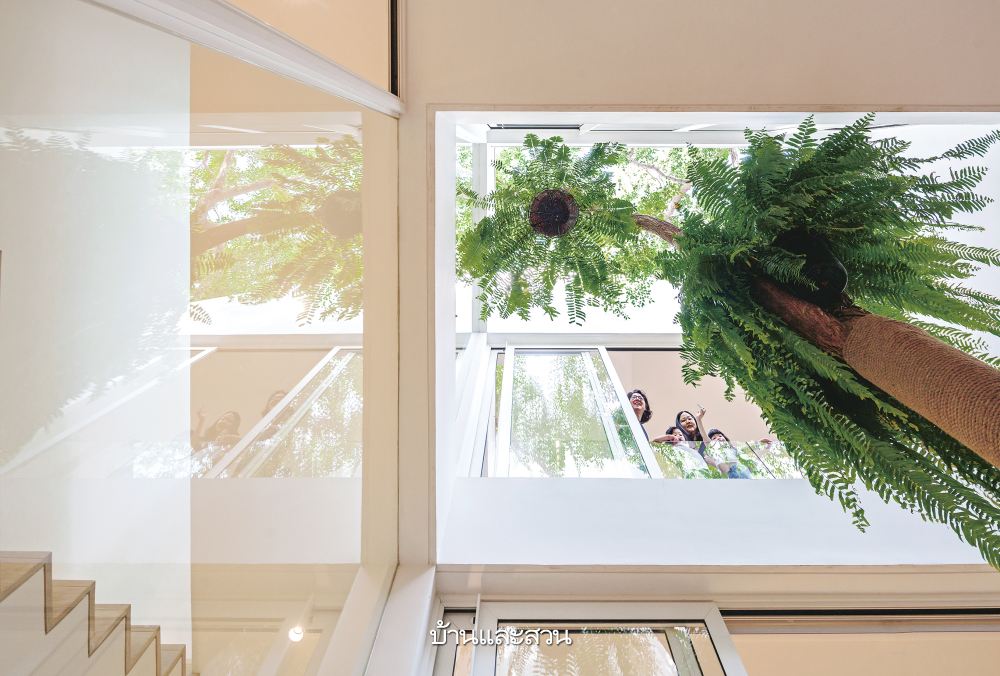 บ้านกล่องหลังคาทรงจั่ว ที่เปิดคอร์ตกลางรับพื้นที่สีเขียว - บ้านและสวน-8