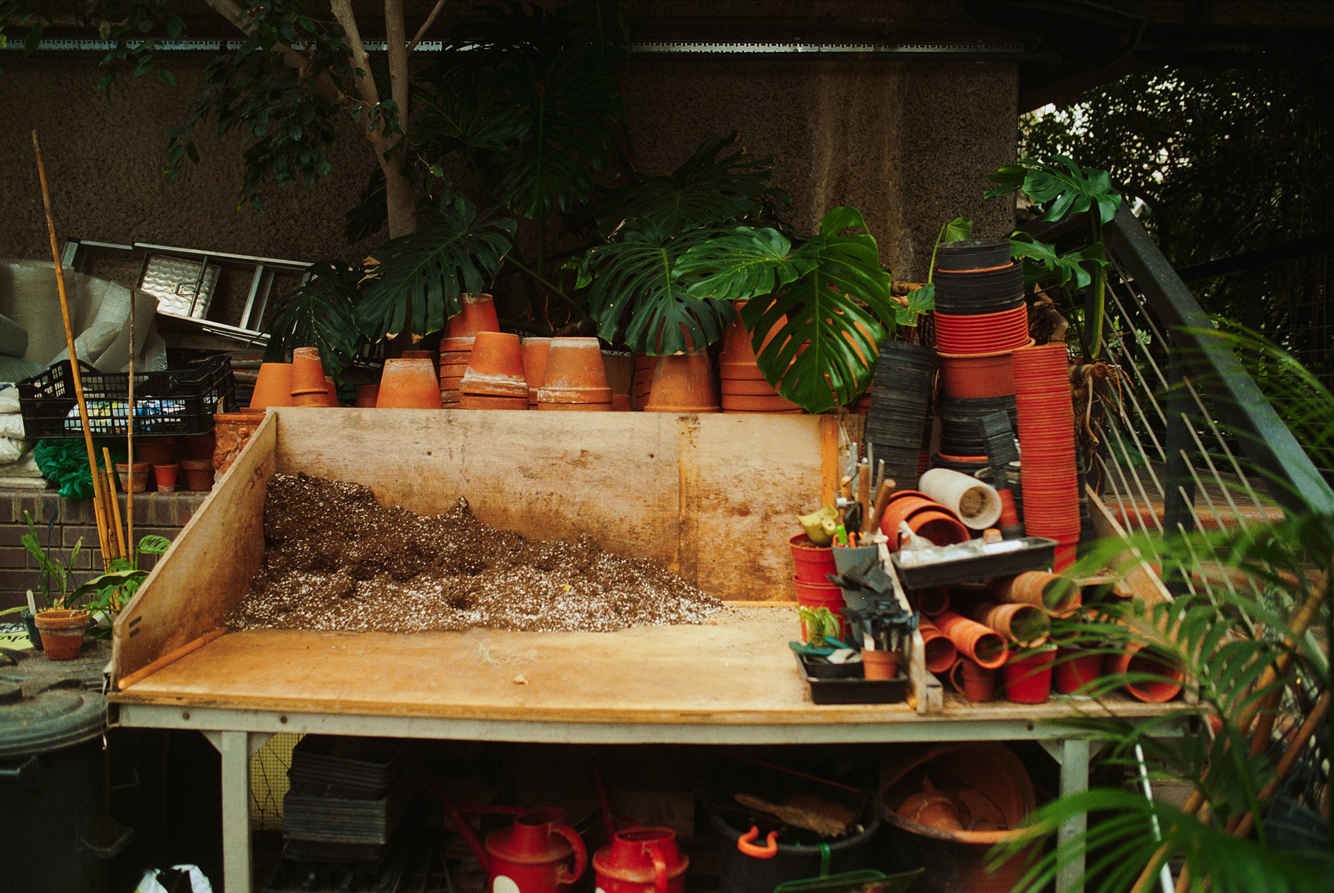 巴比肯温室丨英国伦敦-18