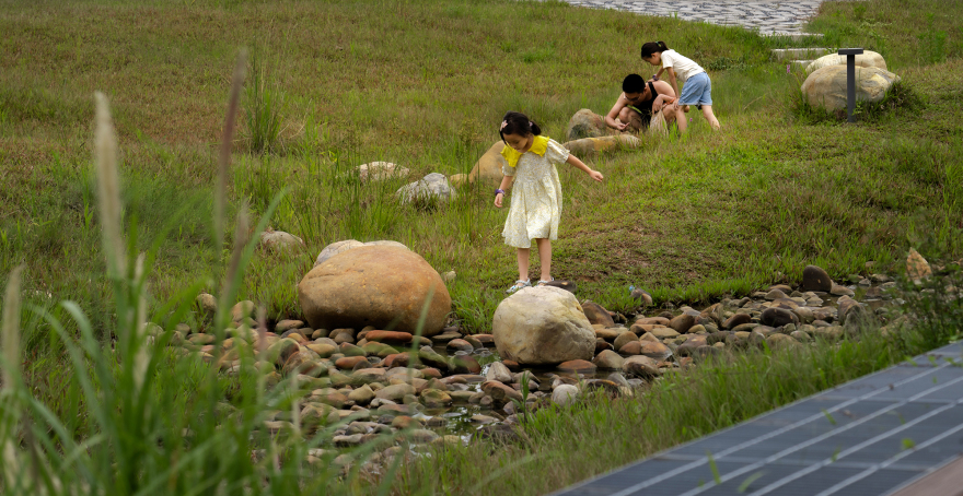 深圳光明虹桥1958生态公园丨中国深圳丨深圳自组空间,深圳市建筑科学研究院股份有限公司-28