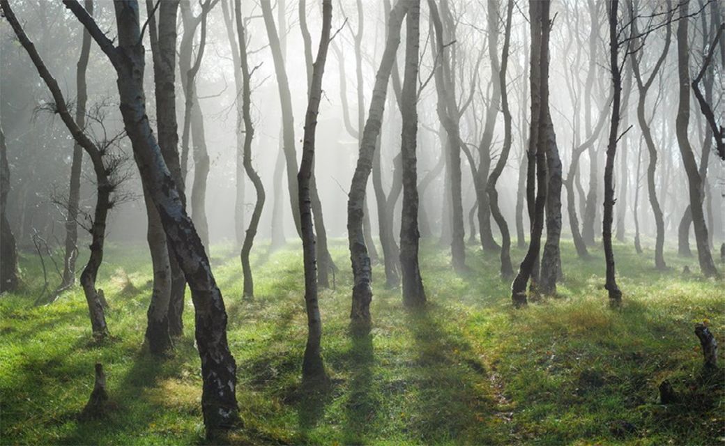 重庆世茂璀璨天城 | 山水写意,诠释现代诗意生活-23