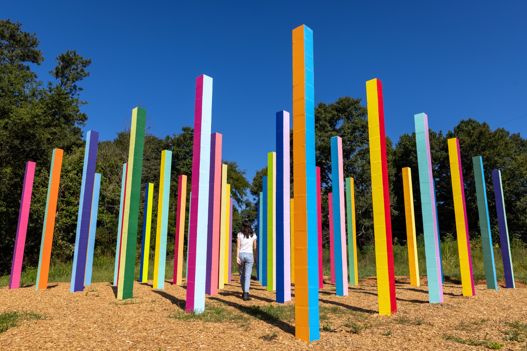 彩虹森林丨美国丨Office Kovacs-50