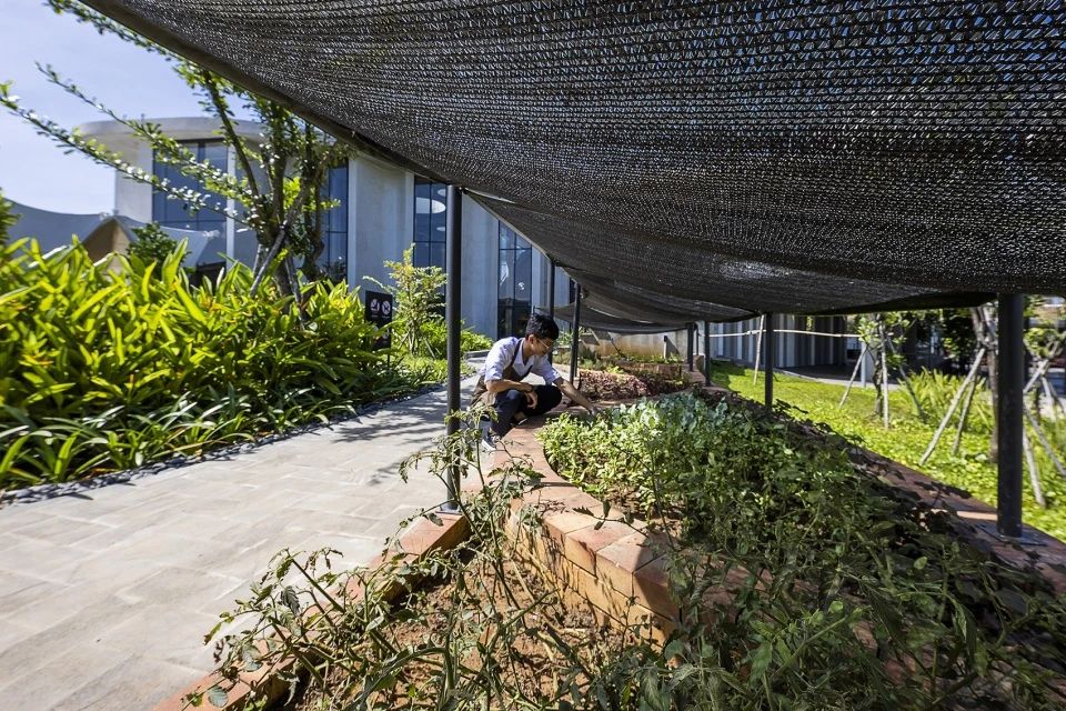 生态循环馆餐厅丨越南丨Takashi Niwa Architects-20