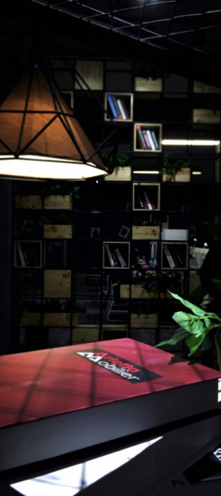 2015 年时尚工业风绿植设计案例解析-10