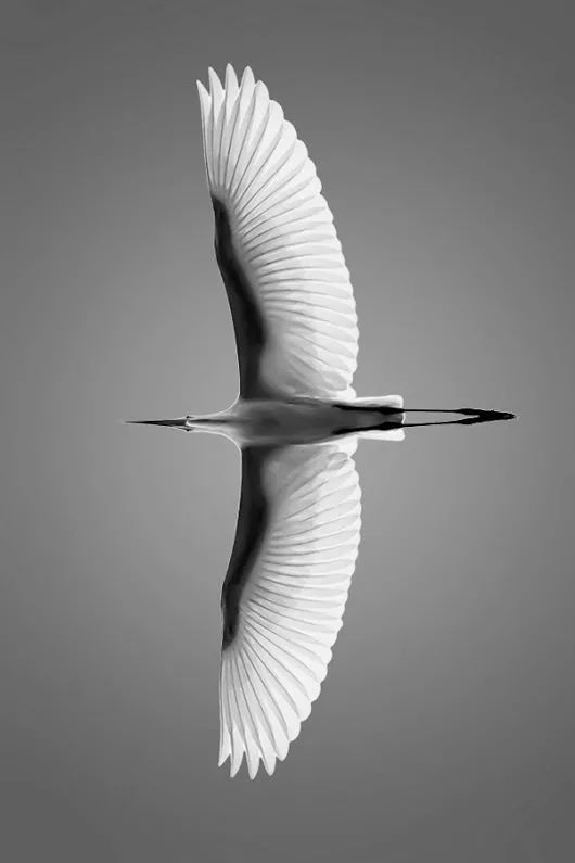 捷报▏青岛海岸线再添新地标！世茂悦海以自然之名，塑写时代美学【实景呈现】-64