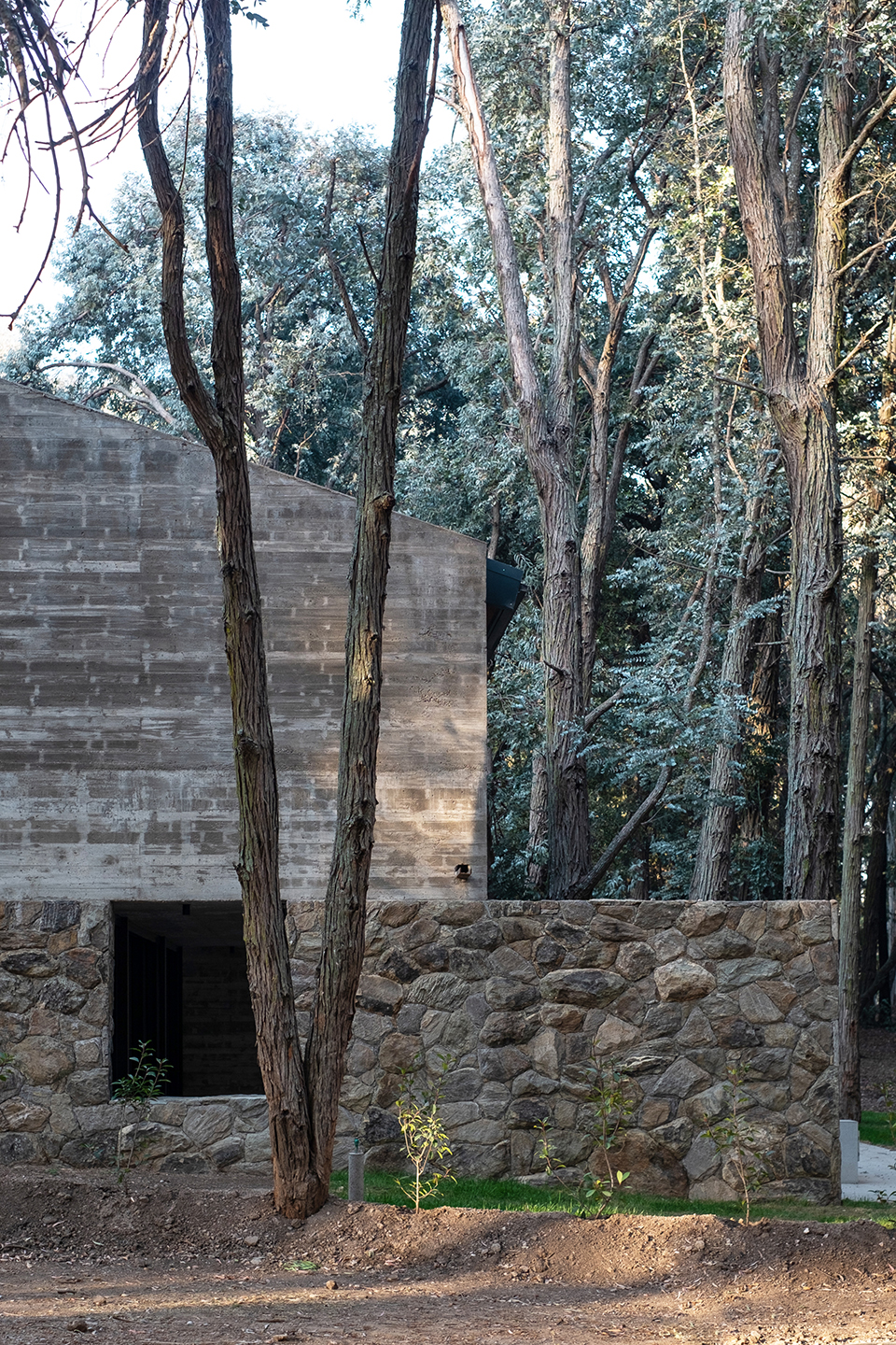 Molvento 住宅丨阿根廷科尔多瓦丨Tectum arquitectura-11