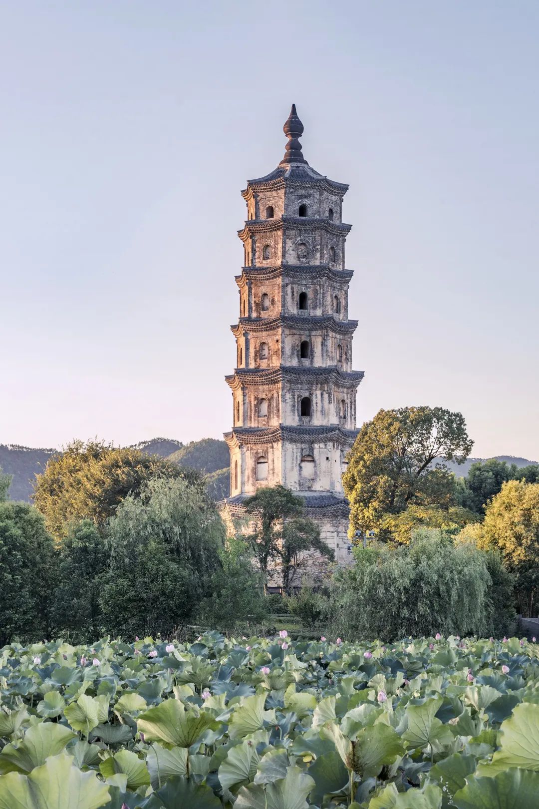 诗莉莉漫戈塔·天榕庄度假村丨中国安徽丨埂上设计-12