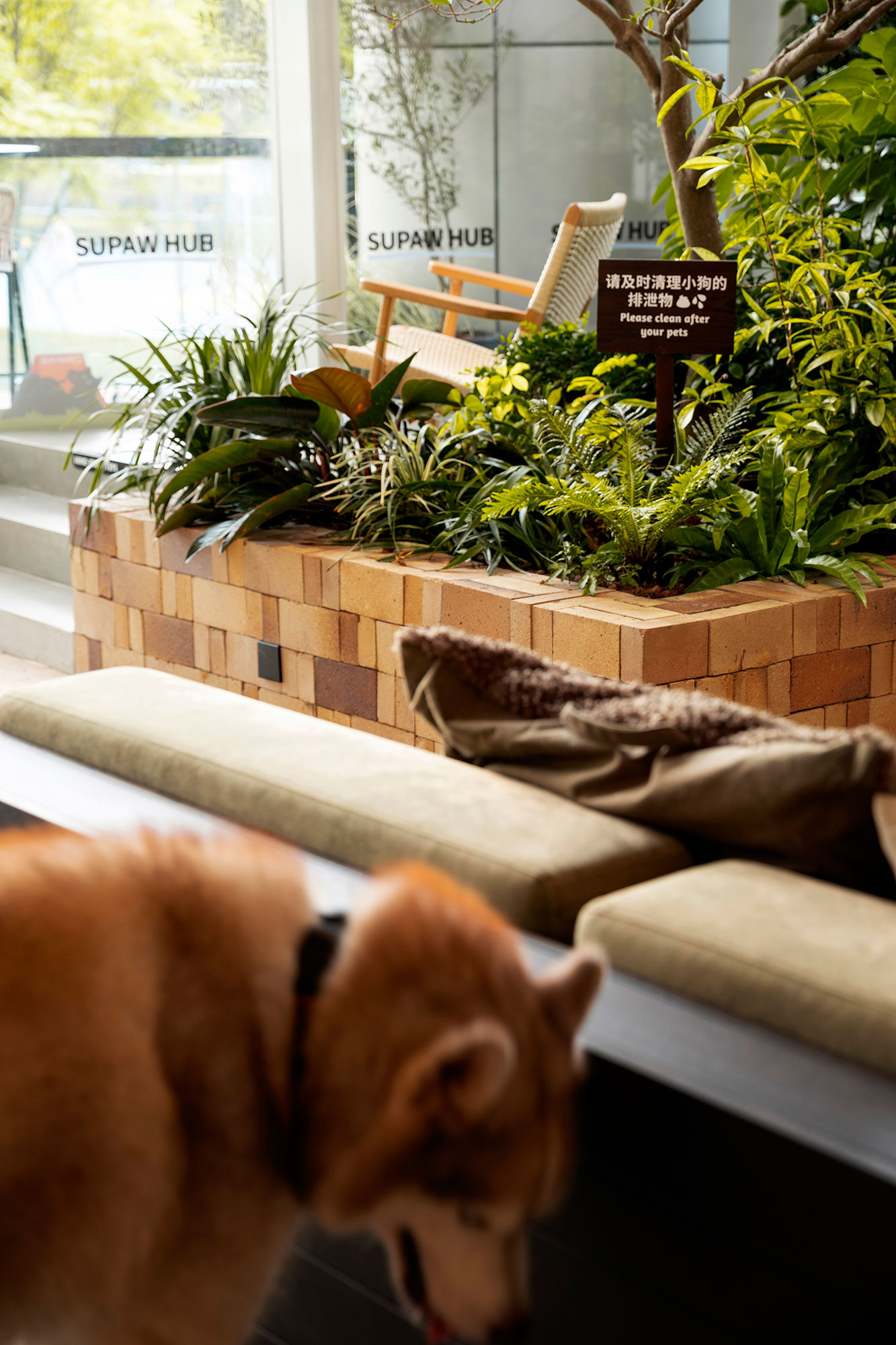 咖啡店丨中国深圳丨Pure & Wild Studio朴野设计-88