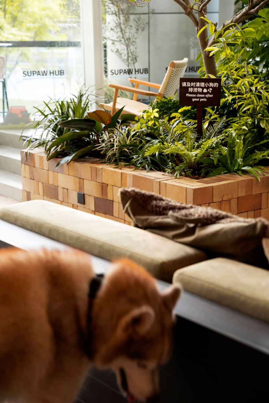 咖啡店丨中国深圳丨Pure & Wild Studio朴野设计-88