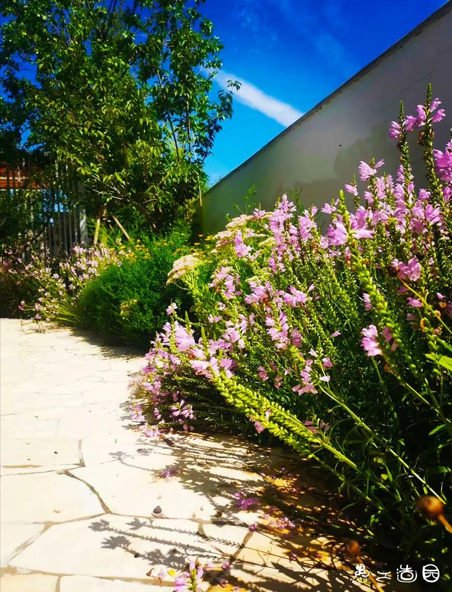 北京金科天玺花园设计 | 用减法做加法-34