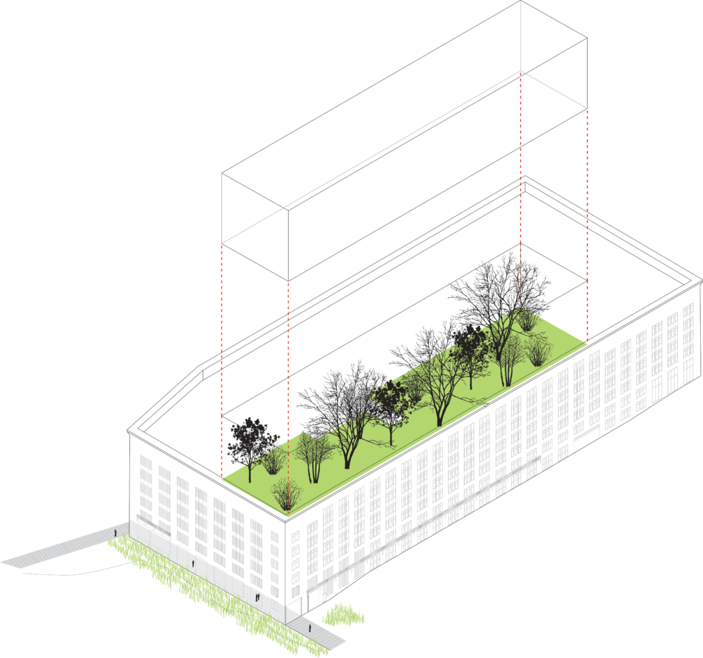 
          Austin Nichols Warehouse & Waterfront - SCAPE      -6