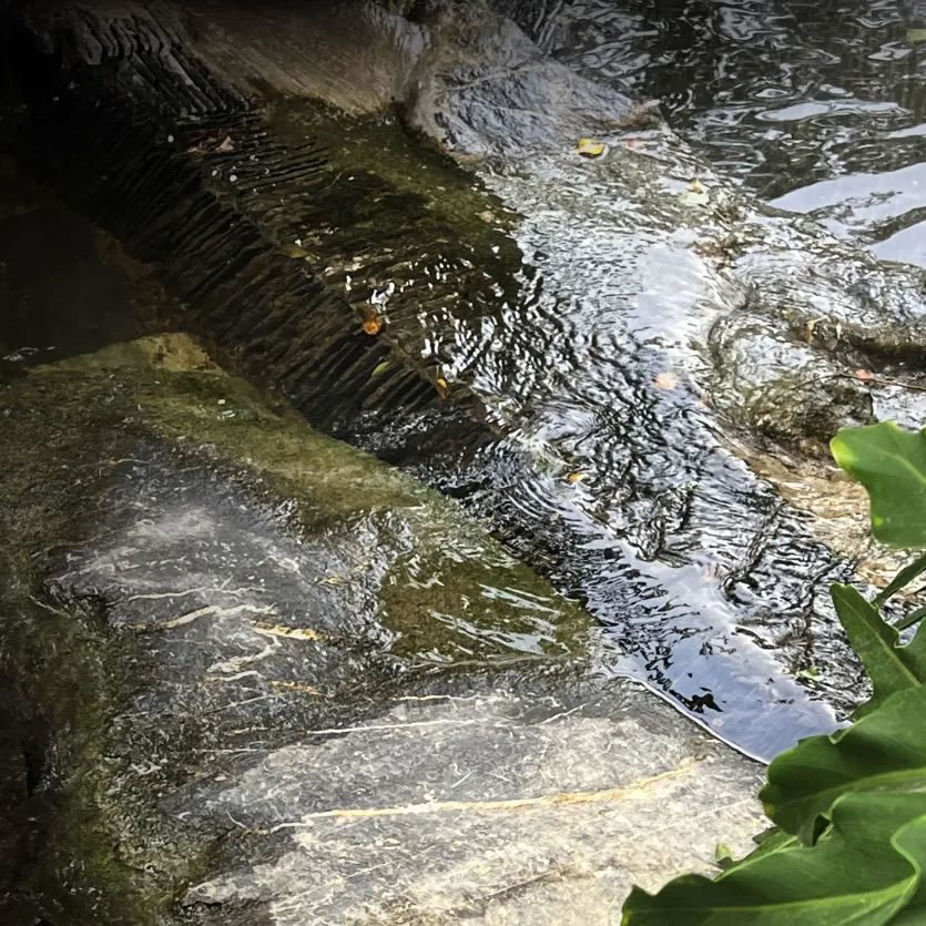 佛山泰丰千玺湾丨中国佛山丨SED新西林景观国际-53