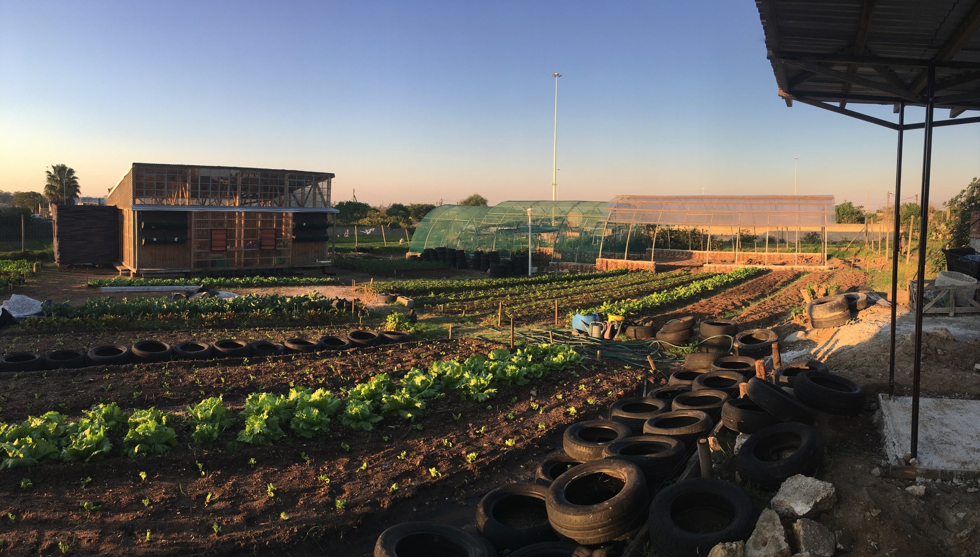 Lim'uhphile Co-op / Collectif saga-30