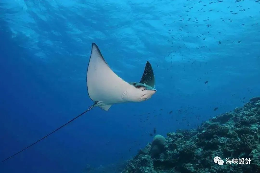 复地别墅丨口日田建筑事务所-25