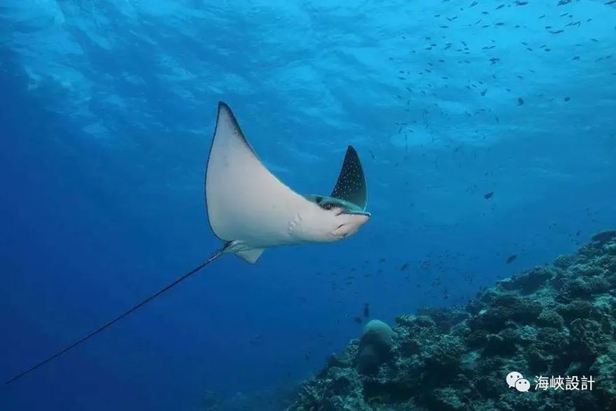 复地别墅丨口日田建筑事务所-25