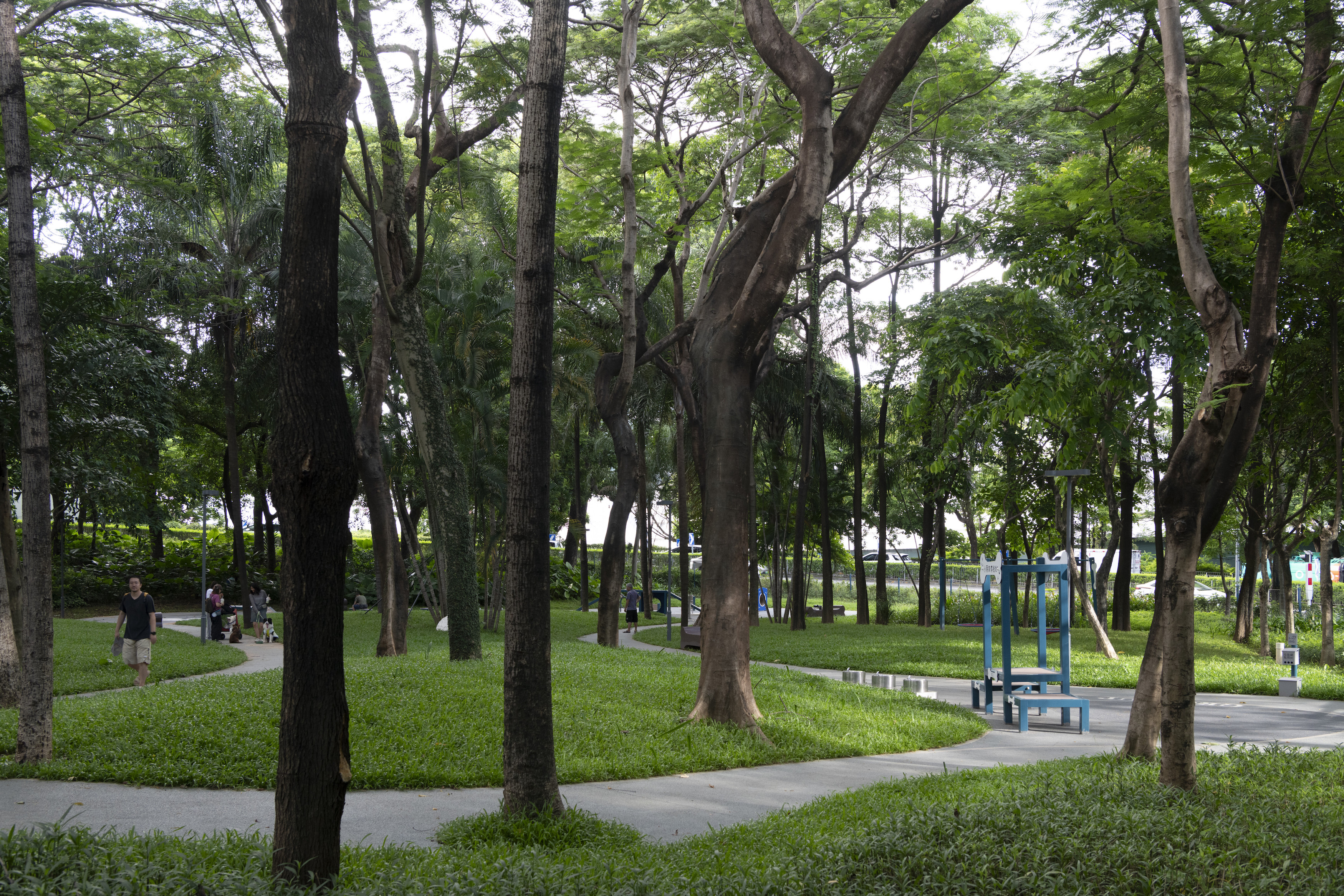 深圳市罗湖泥岗东路宠物友好口袋公园丨中国深圳丨深圳市未名设计顾问有限公司罗湖分公司(WMLA)-99