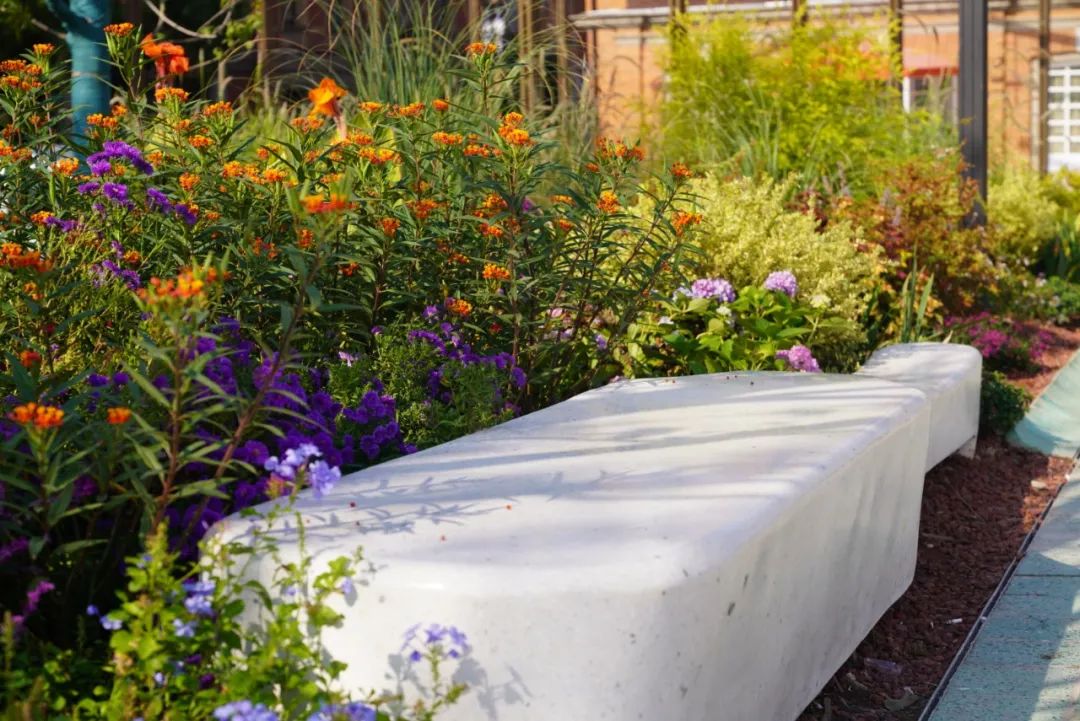 外滩秘境 | 城市花园的时空穿越-155