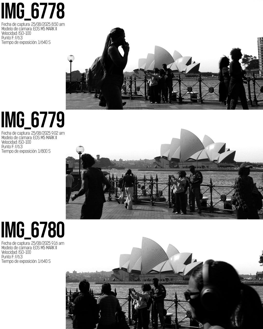 Winter Thoughts II-4