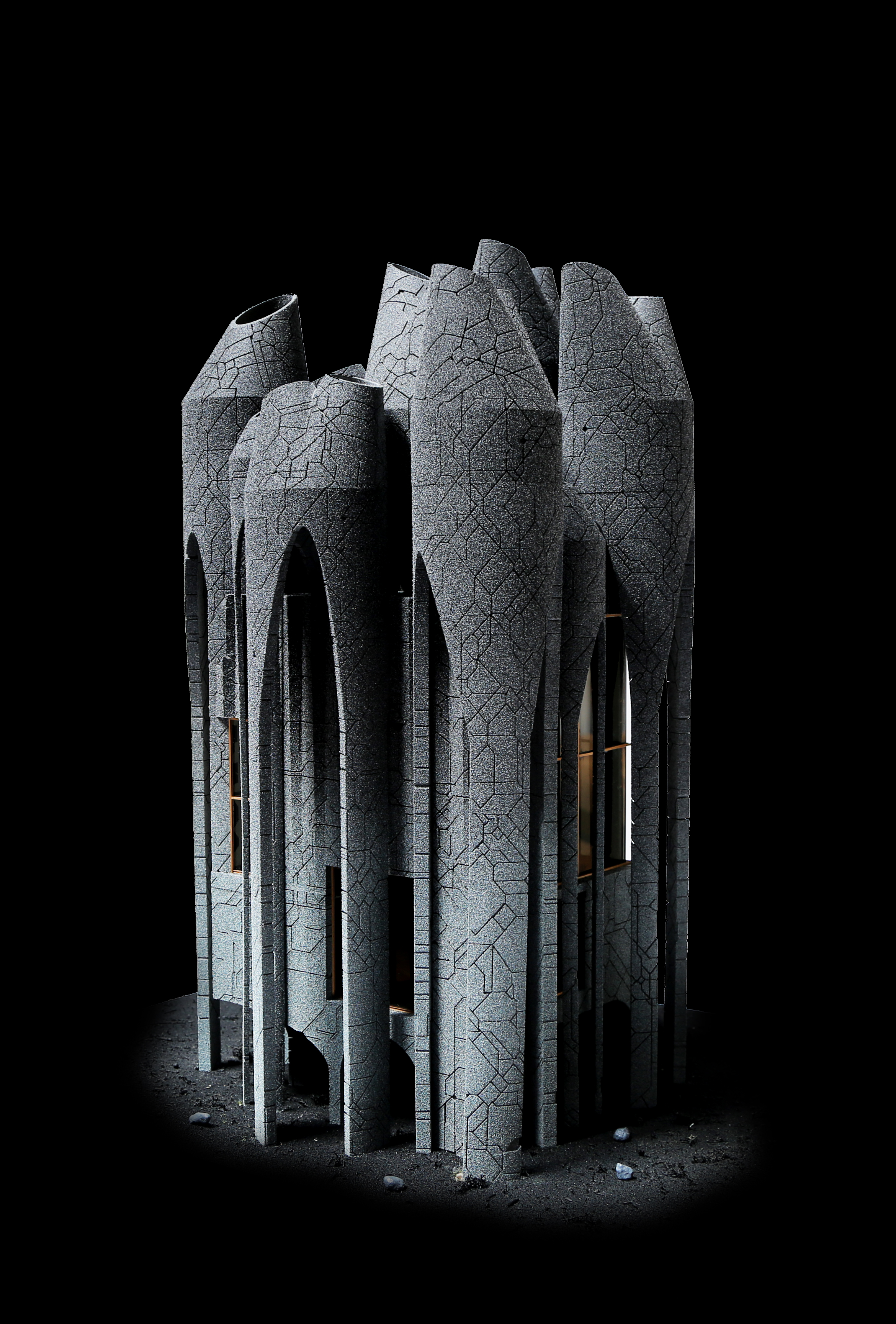 丨美国丨Endemic Architecture-4