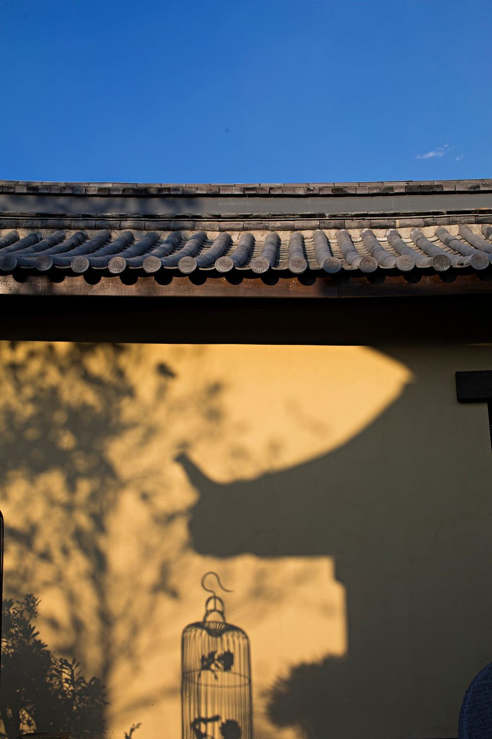 大师之作 | 解读室内设计之美-5