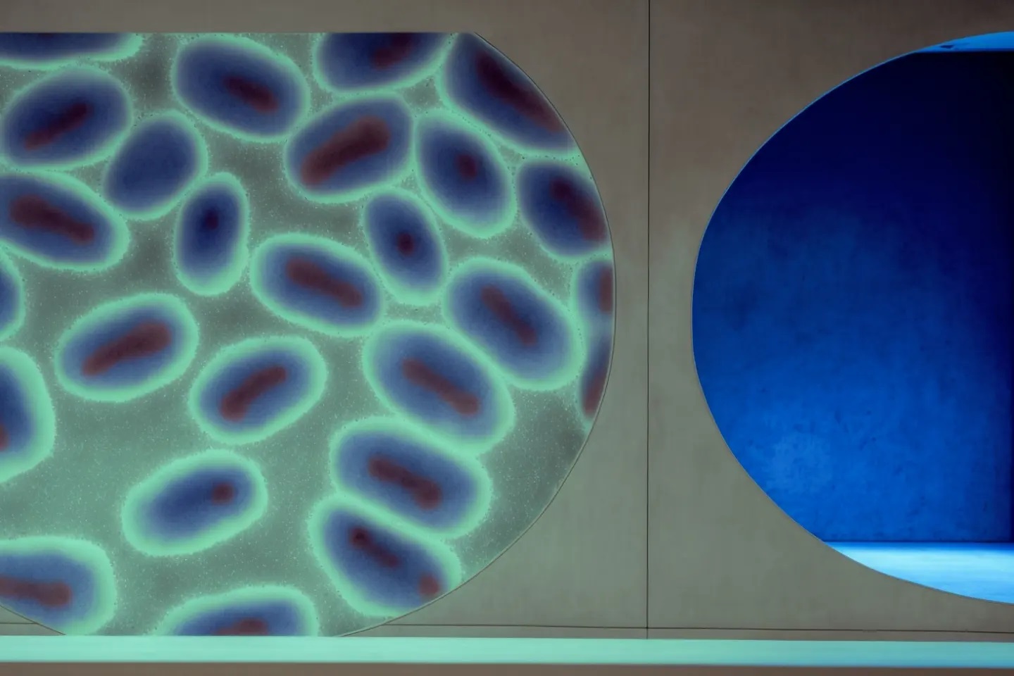 Tranquility Base for relaxation-3