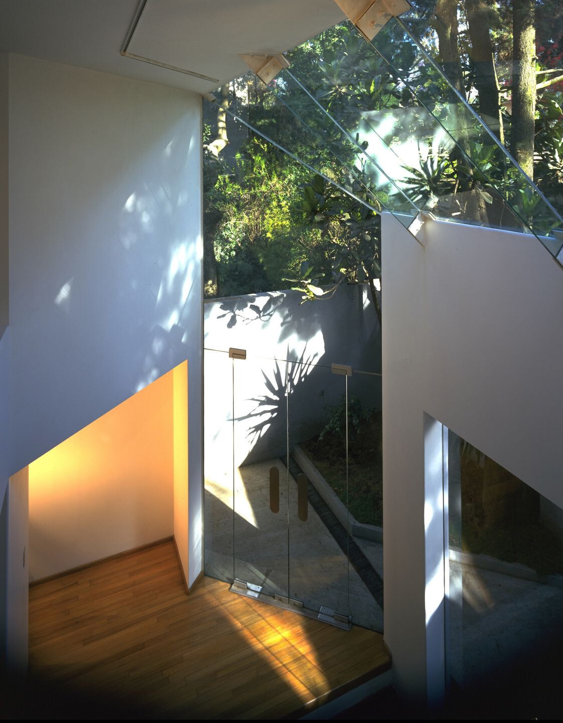 墨西哥城 minimalist·tech 玻璃屋-29