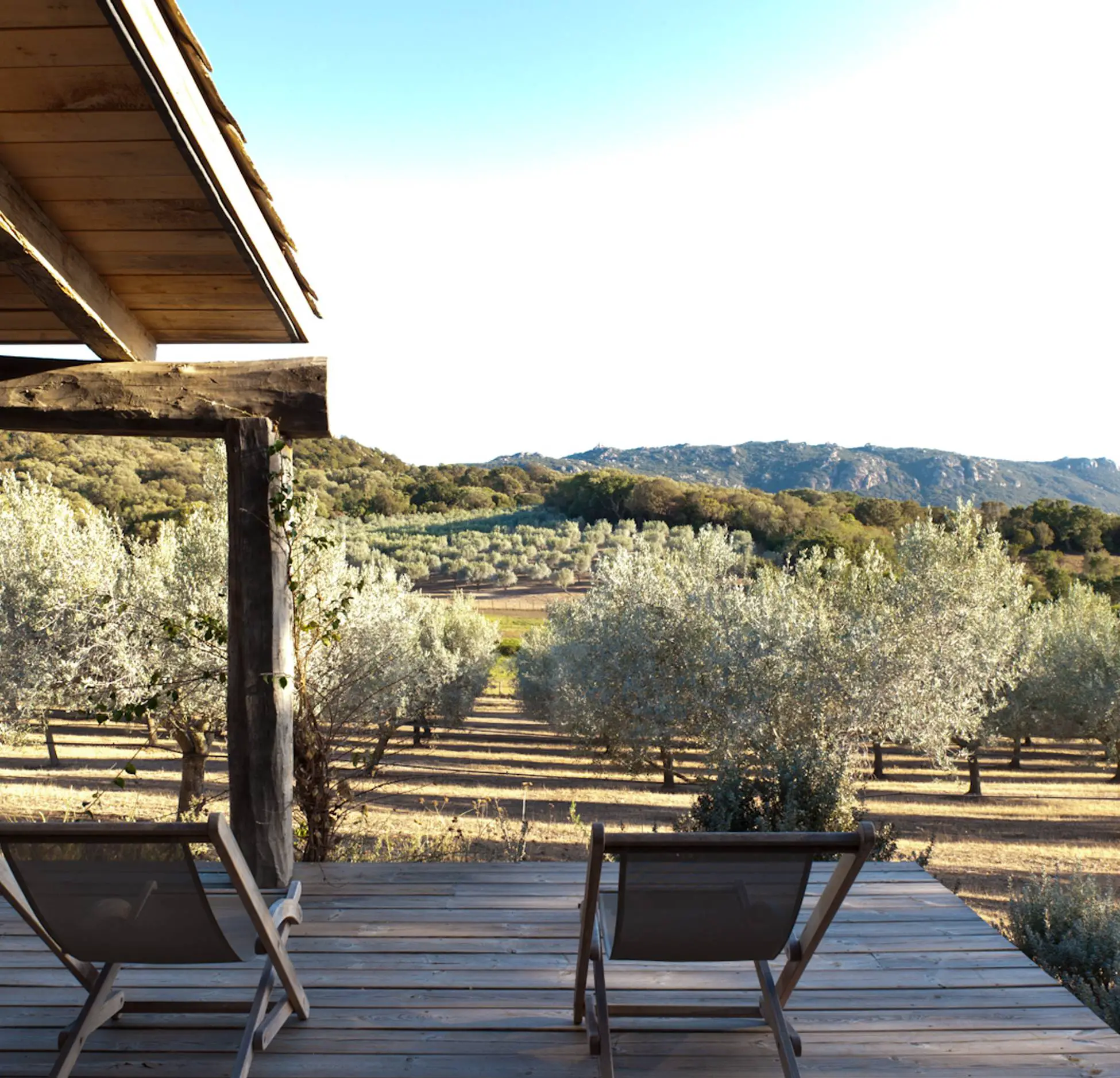 塞杰（Sajé）-16